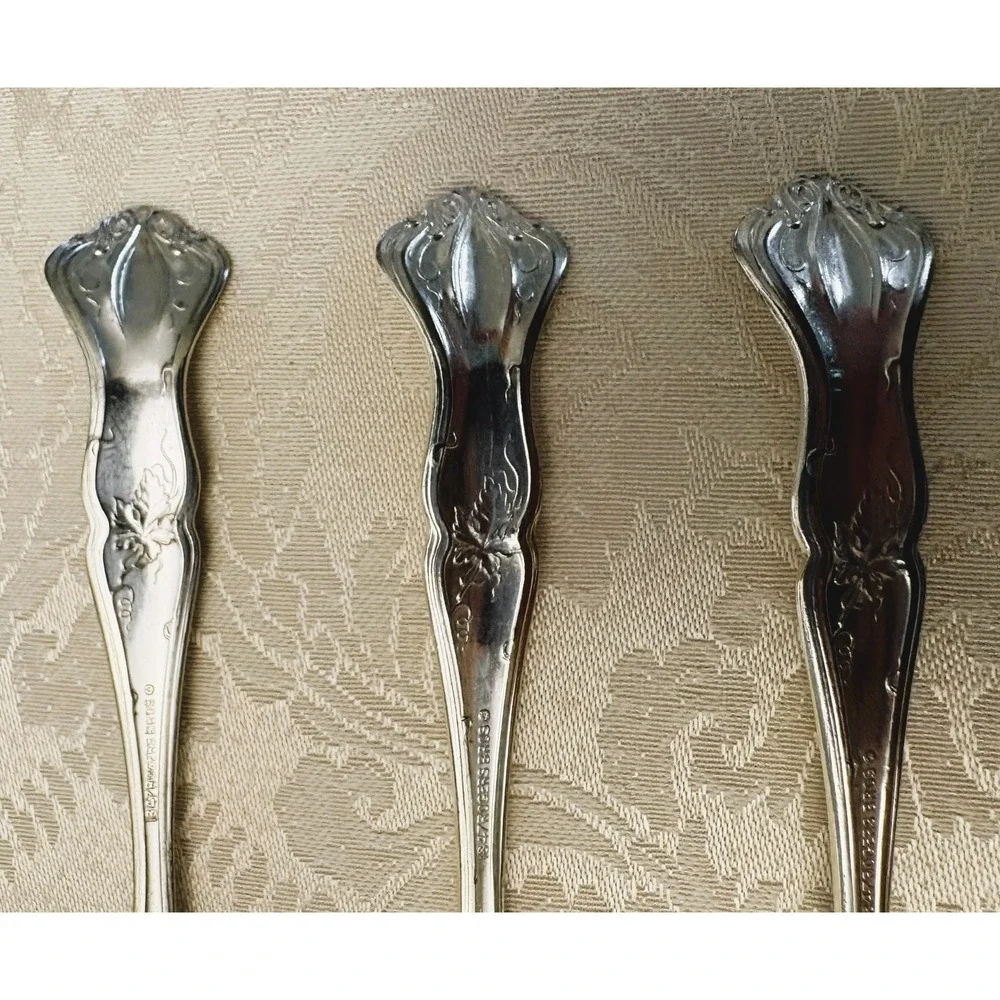 1847 Rogers Bros Vintage 1904 Silverplate 1 Gumbo & 3 Fruit Spoons Grape Motif